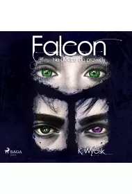 Audiobook Falcon III Na drodze do prawdy mp3