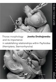 Thorax morphology and its importance...