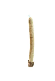 Dubi Ogon lwa 60cm