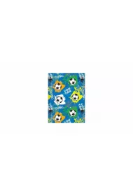 Biurfol Notes A6 football kratka
