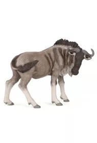 Antylopa Gnu