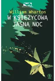 W ksi�ycow� jasn� noc