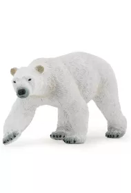 Nied�wied� polarny