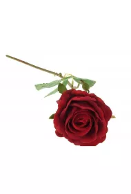 Adar R�a piankowa 52cm
