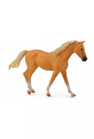 Collecta. Klacz rasy missouri fox trotter
