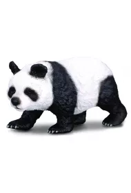 Panda wielka
