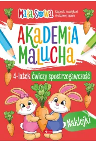 4 latek �wiczy spostrzegawczo��. Akademia malucha