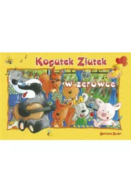 Ziutek. Kogutek Ziutek w zer�wce