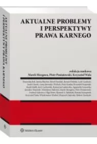 eBook Aktualne problemy i perspektywy prawa karnego pdf epub