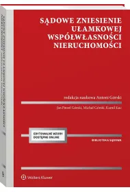 S�dowe zniesienie u�amkowej wsp�w�asno�ci nieruchomo�ci
