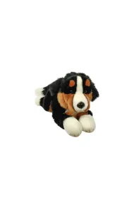 Pies berneski 61cm Dubi