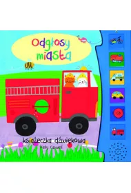 Odg�osy miasta. Ksi��eczka d�wi�kowa