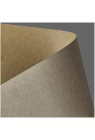 Argo Karton ozdobny A4 kraft br�z j. 270g op20szt GALERIA PAPIERU 204423