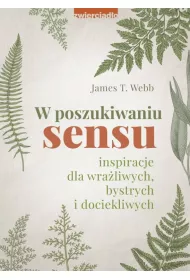 eBook W poszukiwaniu sensu. Inspiracje dla wraliwych, bystrych i dociekliwych mobi epub