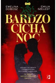 Bardzo cicha noc