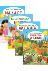 Pakiet Kolorowanka: Zwierz�ta w lesie, W lesie, Na ��ce, Lato