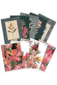 Top-2000 Zeszyt A5 32 kartki linia pojedyncza 70g Flowers 10szt/opak