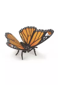 Motyl