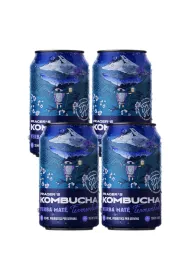 Pragers Kombucha Yerba Mate Zestaw 4 x 330 ml
