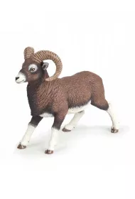 Muflon