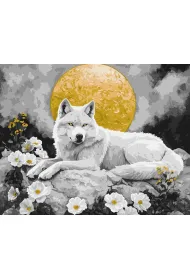 Ideyka Malowanie po numerach - Pod blaskiem ksi�yca 40x50cm