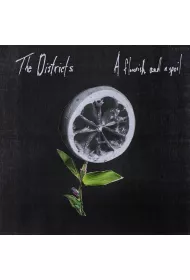 A Flourish And A Spoil (CD)