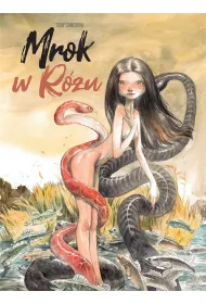 Mrok w r�u