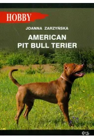 American pit bull terier