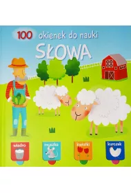 100 okienek s�owa
