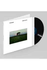Bright Size Life (vinyl)
