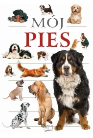 M�j pies
