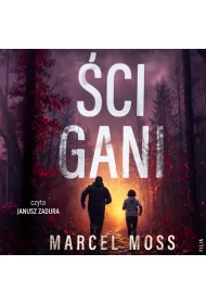 Audiobook �cigani mp3