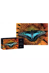 Puzzle 250 el. Colourful Nature 2 Butterfly Interdruk