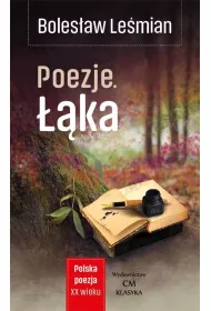 Polska poezja XXw. Poezje. ka