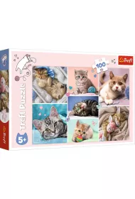 Puzzle 100 el. W kocim wiecie Trefl