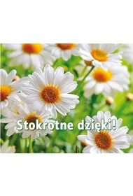 Stokrotne dzi�ki! Pere�ka 263