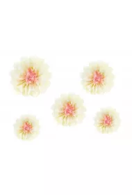 PartyDeco Dekoracja bibu�owa kwiaty 30-20 cm