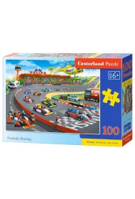 Puzzle 100 el. Wy�cig Formu�a Castorland