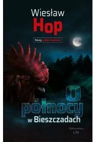 O pnocy w Bieszczadach