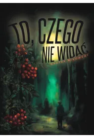 To, czego nie wida�