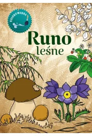 Runo le�ne. Kolorowanka
