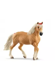 Klacz rasy haflinger