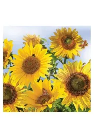 Serwetka Lunch Sunflowers in the Sky SDOG011701