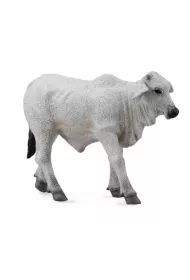 Collecta Ciel� Brahman Rozmiar S
