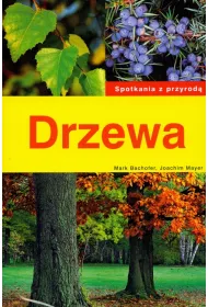 Drzewa. Spotkania z przyrod�