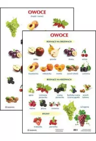 Plansza. Owoce