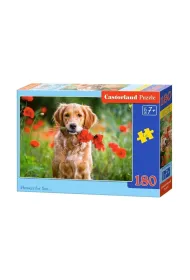 Puzzle 180 el. Flowers for You Castorland