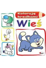 Wie�. Koloruj� kredkami