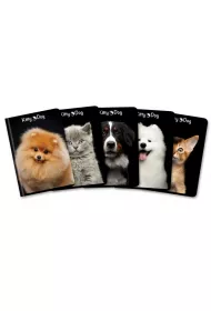 Top-2000 Zeszyt A5 Kitty & Dog kratka 60 kartek 10 szt.