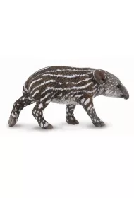 Tapir ciel� bairda